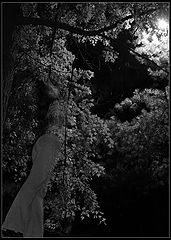 photo "Oh, Lord, I`m coming"
