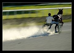 фото "Rider"