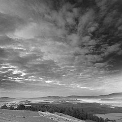 фото "morning"