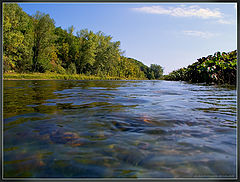 photo "Stones under the water"