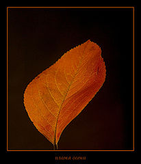 photo "Upon flame dawn"
