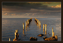 photo "Untitled photo"
