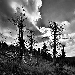 фото "Karkonosze"