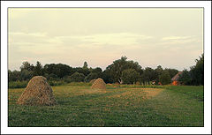 photo "evenings on farm..."