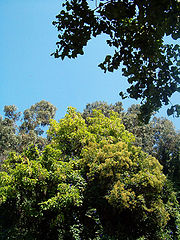 photo "Untitled photo"