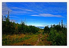 photo "On way to haven"