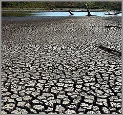 photo "WATER"