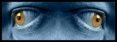 photo "Frankenstein :)"