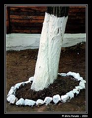 фото "Incercuire"