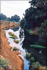 photo "Falls pictures"