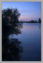 photo "Misterioso in blue"