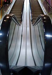 фото "..Twins.."