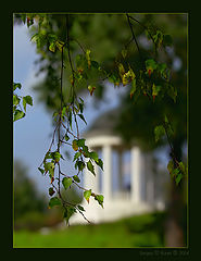 photo "Breath of coming autumn"