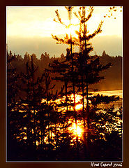 photo "Evening in Karelia"