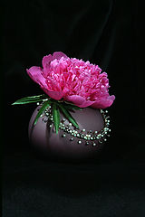 photo "Peony"