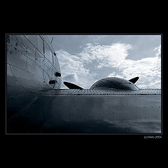photo "... Up to Sky ..."