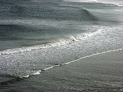 фото "Strong wind"