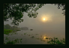 photo "Fog on Volga"