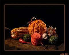photo "still life with calabash"