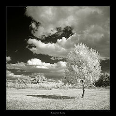 photo "iR dreams"