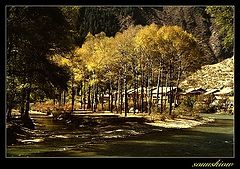 фото "Autumn"