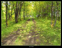 фото "Ранняя осень"
