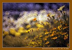фото "Impression 2 at the NYBG"