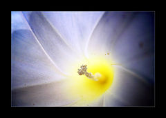 фото "touch me"