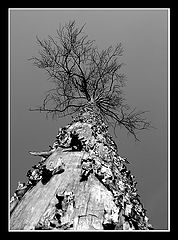 фото "свободное..."