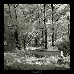 photo "iR dreams"
