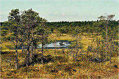 photo "The view..."