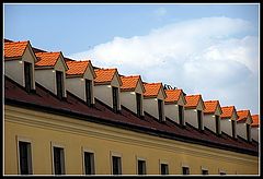 photo "Diagonal"