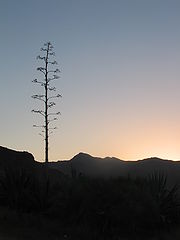 фото "atadercer"