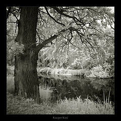 photo "iR dreams"