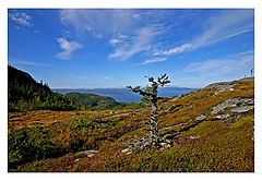 photo "Fall in Norwegian mountain"