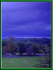 фото "Watery Autumn day"