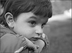 photo "Son`s portrait"