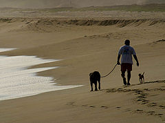 photo "THE 3 AMIGOS"