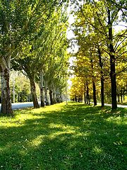 photo "Autumn change Summer"