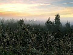 фото "Утро туманное..."