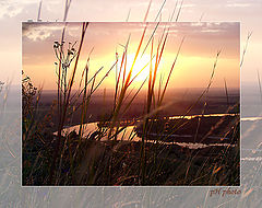 photo "find the worm :)"