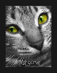 photo "Aristocrat"