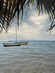 фото "Paradise"