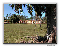 photo "A Colonia"