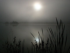фото "Foggy morning"