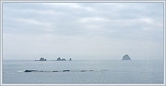 photo "My first look at Ocean"