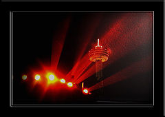 photo "Night patrol"
