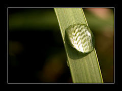 photo "+1 Diopter"