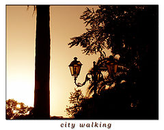 photo "city-walking"
