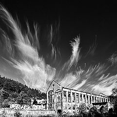 фото "electric CO"